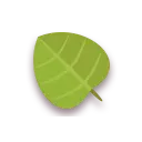 Heart-shaped leaf - plant - Transparent Background PNG