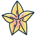 Star Flower - pentagram - No Watermark PNG
