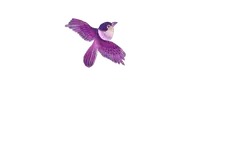 Purple Bird - purple - Free PNG