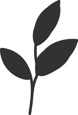 Clover - No Background PNG - High Quality PNG