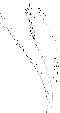 night hunter - Black Owl - Transparent Background PNG - Pic 3