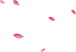 Pink Petals - Trending PNG - background