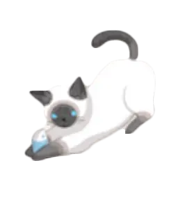 Playing kitten with toy - play - High Resolution PNG
