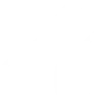 Four Quadrilaterals - minimalist - Transparent Layer PNG