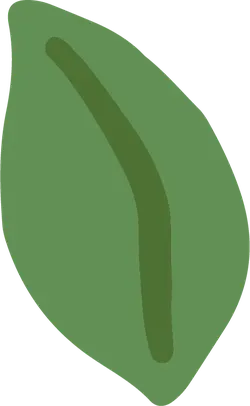 Leaf - Trending PNG - PNG Images