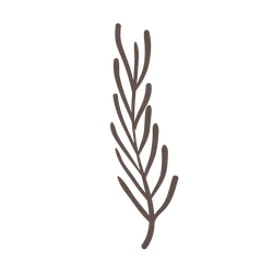 Palm Leaf - leaf - decoration - No Background PNG