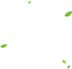 Falling Green Leaves - animation - No Watermark PNG