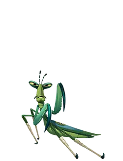 Praying Mantis - animal - Transparent Layer PNG