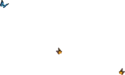 Butterfly - color - Lossless PNG