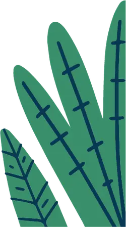 Green Plant Leaves - lines - Free PNG