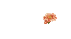 Peach Blossom - High Download Count PNG - Trending PNG