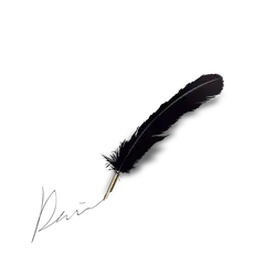 Quill Pen - historical calligraphy signature - Lossless PNG