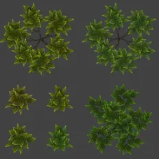 Green Plants - leaf - Free Download PNG