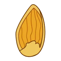 Almond - snack - healthy - High Resolution PNG