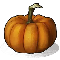 Pumpkin - harvest - Curated PNG