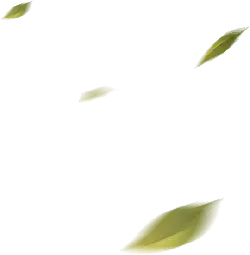 Falling Leaves - falling - Recommended PNG