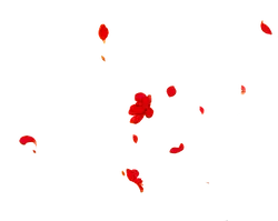 Red Petals - falling - High Resolution PNG