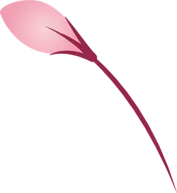 Cherry Blossom Petal - pink - Lossless PNG