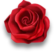 Red Rose - romantic - nature - PNG