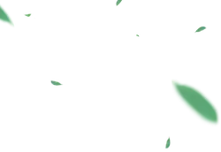 Green Light Spots - light spots - Lossless PNG