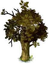 Tree - branches - High Download Count PNG