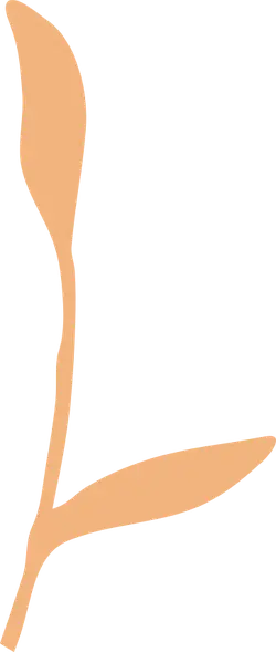 Plant Sprout - Recommended PNG