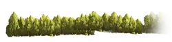Forest - PNG Images