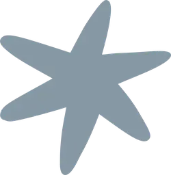 Star Shape - minimalist - High Resolution PNG