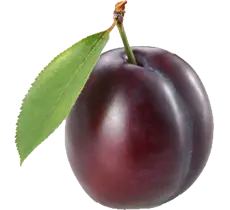Plum - fresh - eatable - No Background PNG