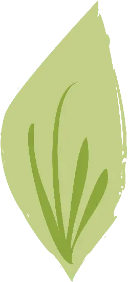 Leaf - Highly Rated PNG - No Watermark PNG