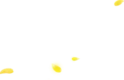 Yellow Petals - Highly Rated PNG