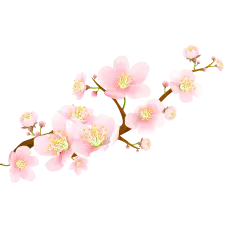 PNG Images - beautiful - Cherry Blossom