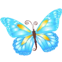Butterfly - blue - insect - Free PNG