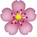 Cherry Blossom - PNG - Curated PNG