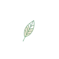 Leaf - No Background PNG - Free Download PNG