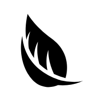 Trending PNG - Black Owl - night