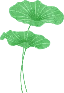 Lotus Leaf - lotus - Curated PNG