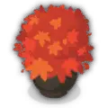 Potted Maple Tree - potted - Transparent Background PNG