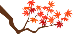 Maple Branch - leaves - Transparent Layer PNG
