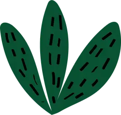 Clover - Highly Rated PNG - ecology