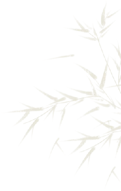 Bamboo - leaves - plant - Free Download PNG