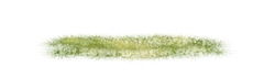 Grassland - growth - PNG