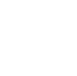 Radiating Pattern - geometric - abstract - No Background PNG