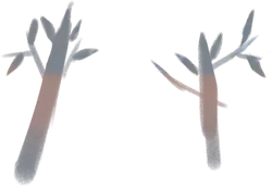 Bamboo - plant - Highly Rated PNG