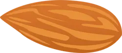 Almond - snack - tasty - No Watermark PNG