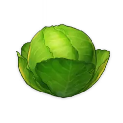 Cabbage - nutritious - Lossless PNG