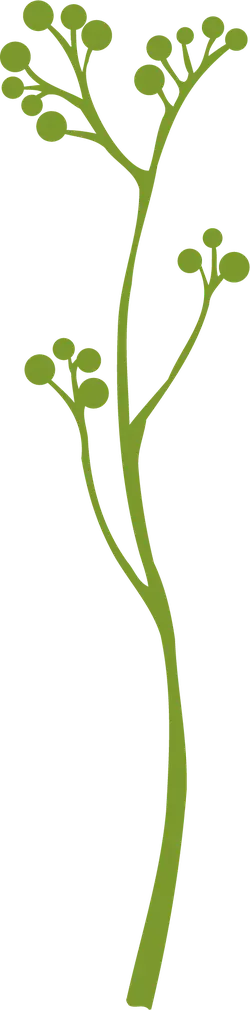 Green Branch - PNG