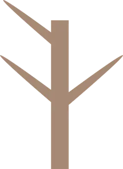 Tree Logo - logo - Transparent Layer PNG