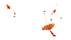 Red Petals Falling - petal - background - PNG Images