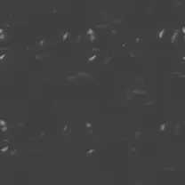 Speckled Gray Background - textured - High Resolution PNG